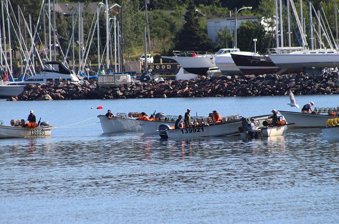 Conception Bay Tour Experience - Brigus: Harbor Photos, Colorful Buildings, and Rock Solid Builds Connections