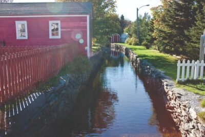Conception Bay Tour Experience - Conception Harbour and the SS Charcot Wreck: The Story Makes It Stick