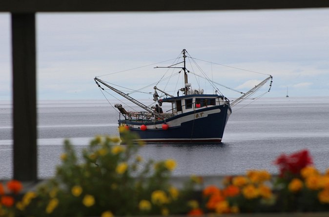 Conception Bay Tour Experience - Three-Course Lunch: Real Value Built Into the Drive Schedule