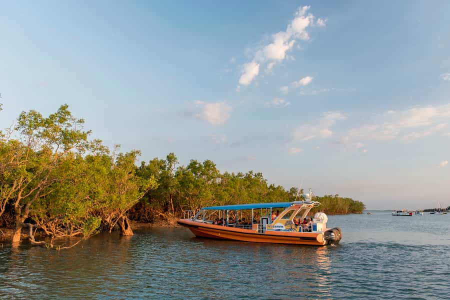 Darwin Harbour Cruise - Hitting the harbour at 7 Stokes Hill Rd (and why 1 hour works)
