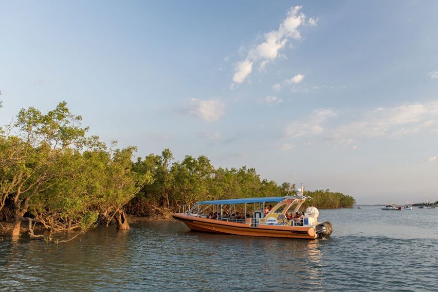 Darwin Harbour Cruise - Fisherman’s Wharf and pearling/fishing: the harbour as a workplace