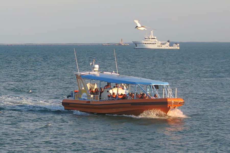 Darwin Harbour Cruise - Eco-accredited by Sea Darwin – Sea Tiwi: what that likely means for your experience