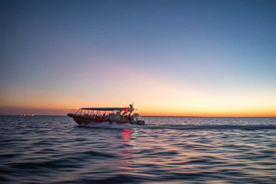 Darwin: Sunset Harbour Cruise with Fish and Chips Dinner - Who Should Book This Cruise (And Who Might Want to Skip It)