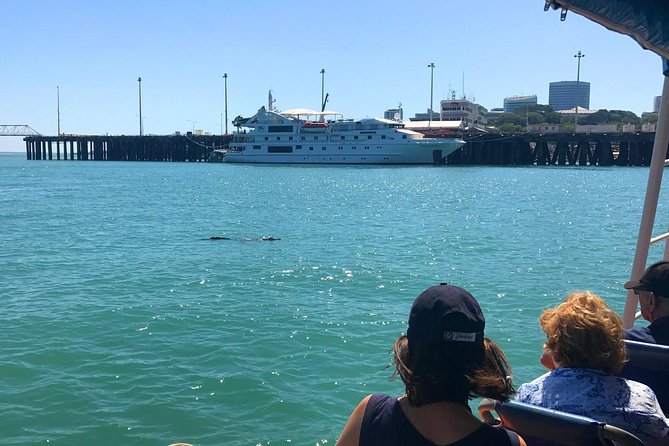 Discover Darwin Harbour 1 hour Darwin Harbour Cruise - Mangroves and habitats: the wildlife lesson you can see