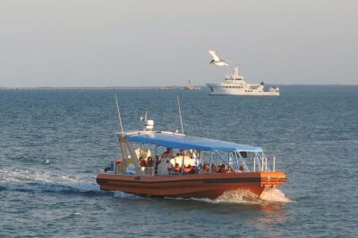 Discover Darwin Harbour 1 hour Darwin Harbour Cruise - Meeting at Stokes Hill Rd: simple start, easy end