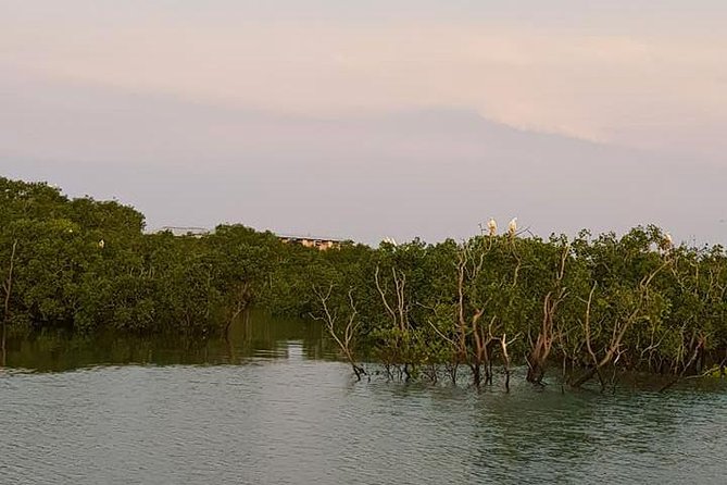 Discover Darwin Harbour 1 hour Darwin Harbour Cruise - Comfort on choppy days: what to bring and where to sit