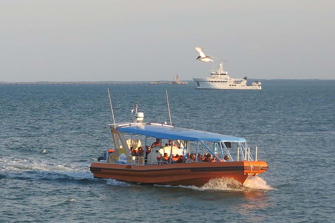 Discover Darwin Harbour 1 hour Darwin Harbour Cruise - Meeting at Stokes Hill Rd: simple start, easy end