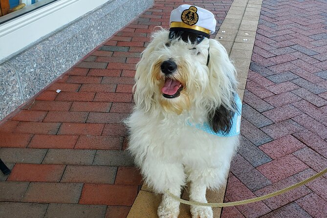 Dog Day of Summer Harbor Cruise in Boston - Onboard Commentary: Helpful for First-Timers and Loyal Boston Fans