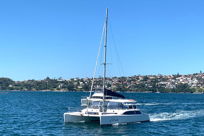 Dogs on Deck Harbour Cruise - Price and value: what $49.49 buys you in real terms