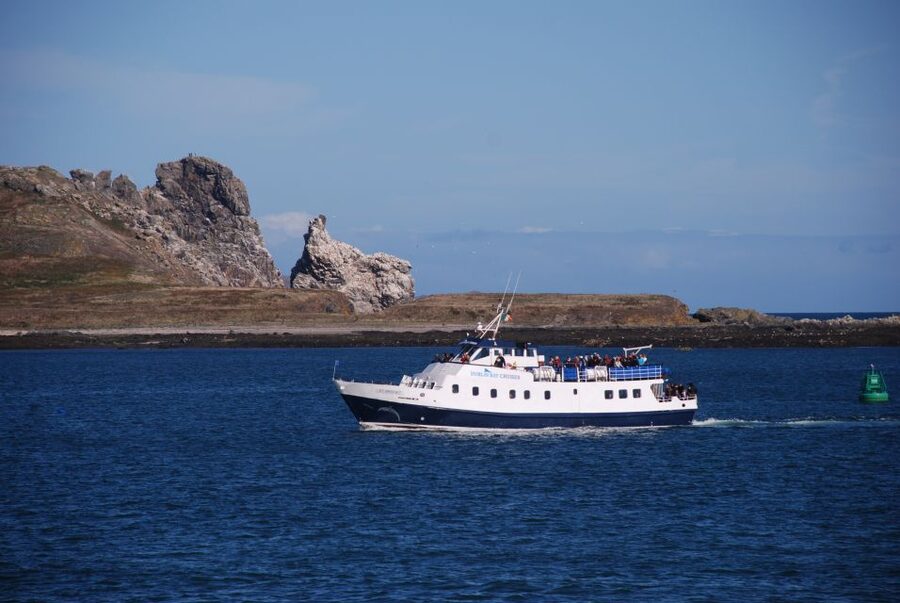 Dublin: Dublin Bay Cruise from Howth to Dun Laoghaire - Why This Howth to Dun Laoghaire Cruise Makes Sense for a Dublin Day