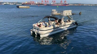Durban: Pontoon Boat Harbor Cruise - Where You Meet: Wilson’s Wharf, the Shop, and the Boat Mooring