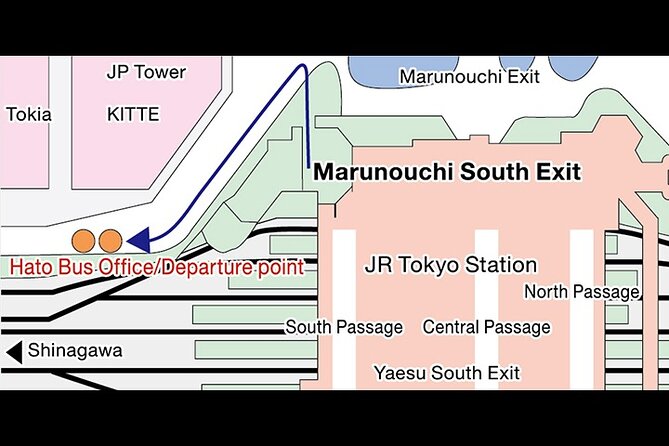 Dynamic Tokyo: Tokyo Tower, Tea Experience, Bay Cruise Day Tour - Odaiba Lunch at a Tokyo Bay Hotel Buffet (What You Should Expect)