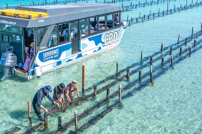 Experience Coffin Bay Oyster Farm and Bay Tour - Key points to know before you go