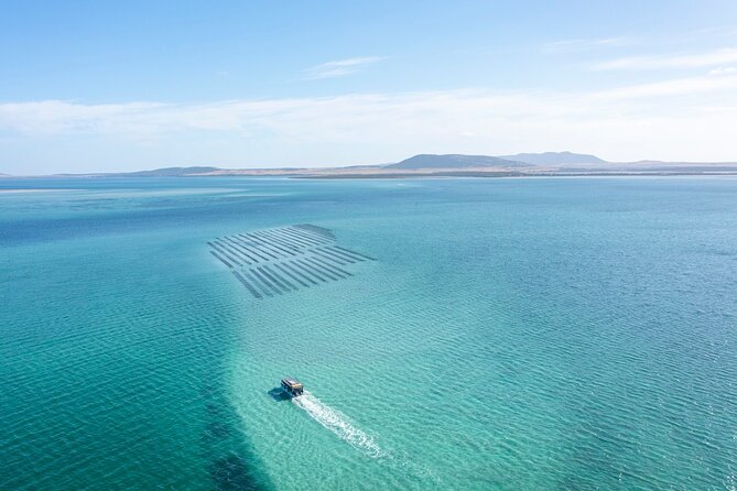 Experience Coffin Bay Oyster Farm and Bay Tour - Where you start: Coffin Bay Yacht Club Jetty and a 9:30 departure