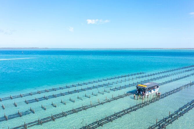 Experience Coffin Bay Oyster Farm and Bay Tour - What you learn from oyster farmers (and why the taste hits differently)