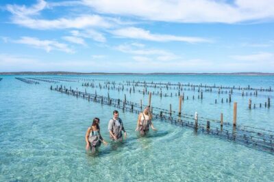 Experience Coffin Bay Oyster Farm and Bay Tour - The 3-hour boat ride through Coffin Bay waterways