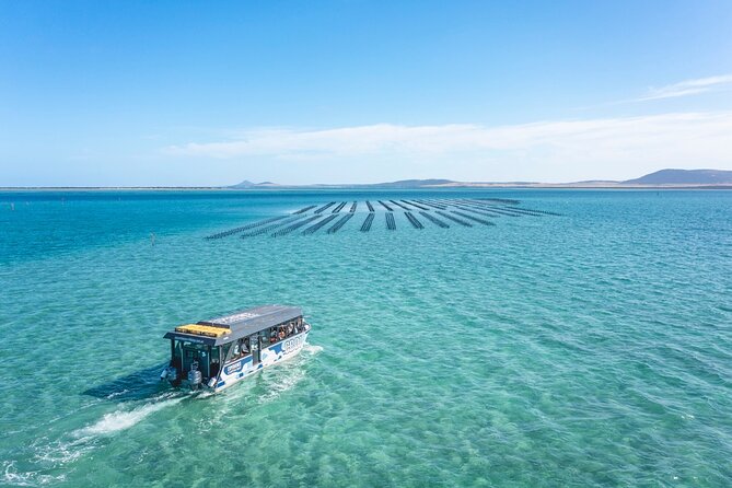 Experience Coffin Bay Oyster Farm and Bay Tour - Brothers Islands cruise: seals up close, dolphins possible