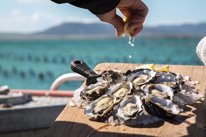 Experience Coffin Bay Oyster Farm and Bay Tour - Alcohol on a licensed boat: nice option, not required