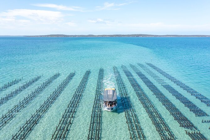 Experience Coffin Bay Oyster Farm and Bay Tour - Price and value: what $132.69 buys you