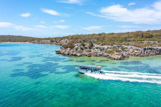 Experience Coffin Bay Oyster Farm and Bay Tour - Who should book this tour—and who might think twice