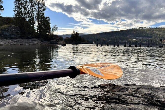 Flathead Lake Somers Bay Tour - Wildlife spotting on the water: Bald Eagles, Ospreys, and more