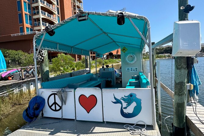 Frisky Mermaid Scenic Bay Cruise + Snorkeling Stop + Equipment - Pensacola Bay Wildlife: What You’re Likely to See (and How to Spot It)