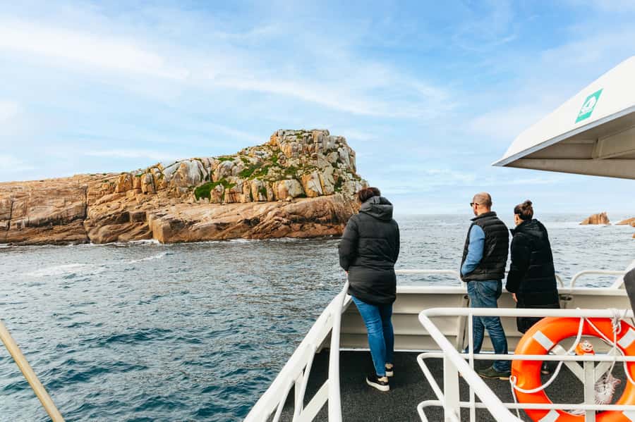 From Coles Bay: Wineglass Bay Cruise with Lunch - Price and value: what $141 buys you for a half-day at sea