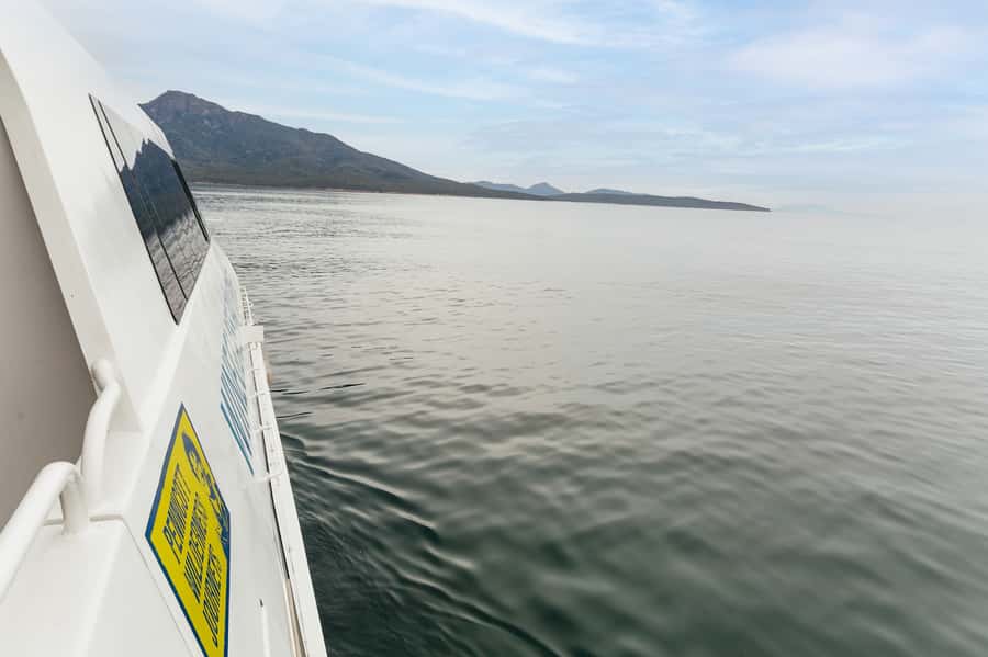 From Coles Bay: Wineglass Bay Cruise with Lunch - Who this cruise is best for (and who should consider alternatives)