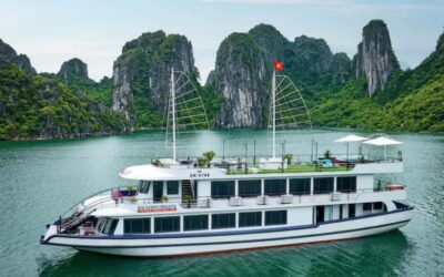 From Ha Long: Halong Bay Tour 6 hours from Tuan Chau island - From No 21 Tuan Chau Harbour: the day kicks off fast
