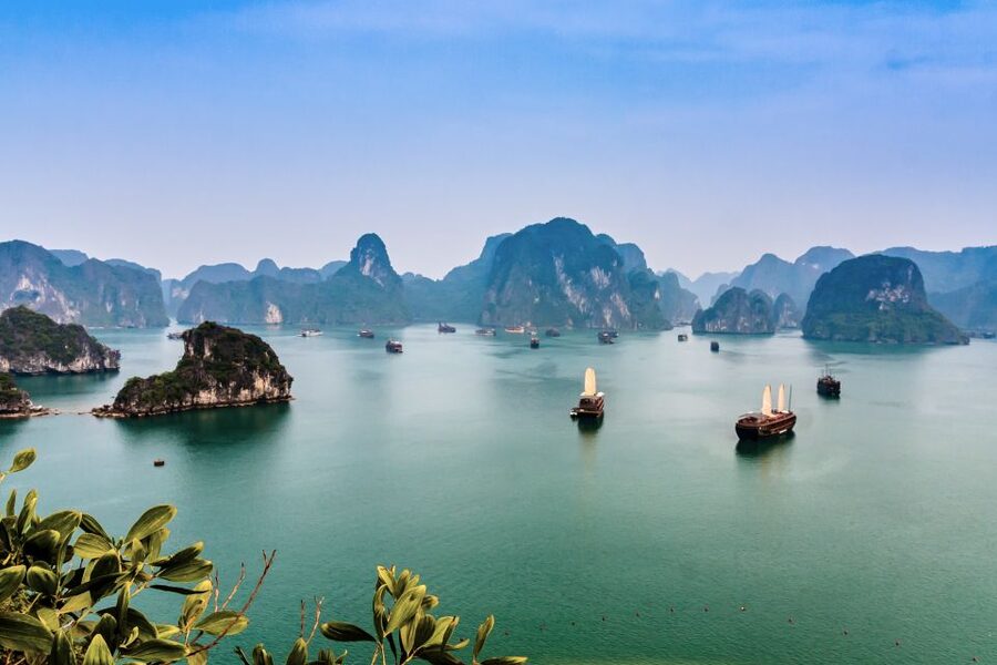 From Hanoi: 1 -Day Halong Bay Cruise With Big & Small Groups - Who this tour fits best (and who should skip it)
