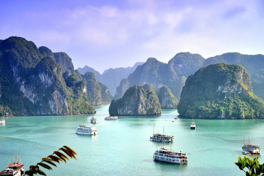 From Hanoi: 2-Day & 1 Night Halong Bay Tour - Day 1 on Ha Long Bay: Dog Head, Swan, Ba Hang, and Seafood Time