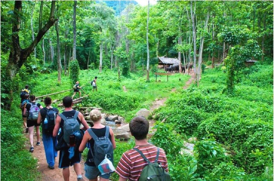From Hanoi: 2-Day Ha Long Bay Tour with Ninh Binh and Cruise - Key highlights I’d plan around