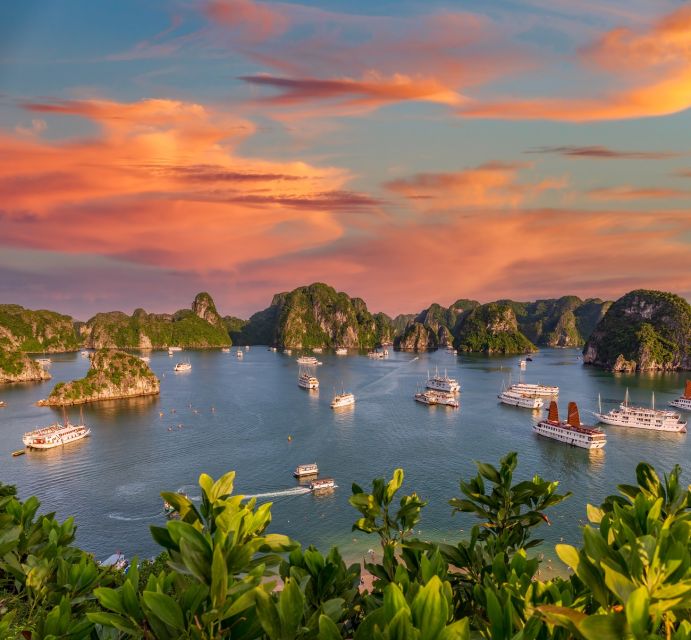 From Hanoi: 2-Day Ha Long Bay Tour with Ninh Binh and Cruise - Who should book this tour, and who should skip it