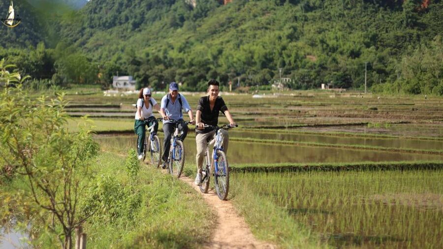 From Hanoi: 2-Day Ninh Binh Tour with Ha Long Bay Cruise - The Halong Bay sunset party: red wine, light food, music, dancing