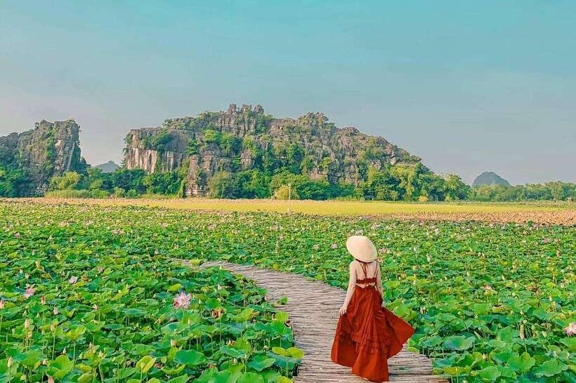 From Hanoi: 5-Day Sapa, Ninh Binh, Ha Long Bay Cruise - Cruise, Hotels, and Meals: Where the Value Really Shows