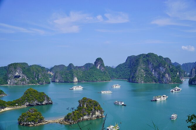 Full day Halong Bay Tour with Buffet Lunch - Why This Full-Day Halong Bay Tour Feels Like a Best-Value Cruise