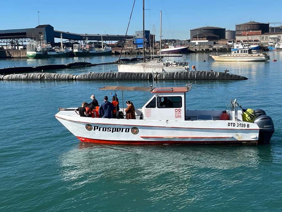 Gqeberha: 30 MINUTE HARBOUR CRUISE - Why This 30-Minute Harbour Cruise Feels More Educational Than It Sounds