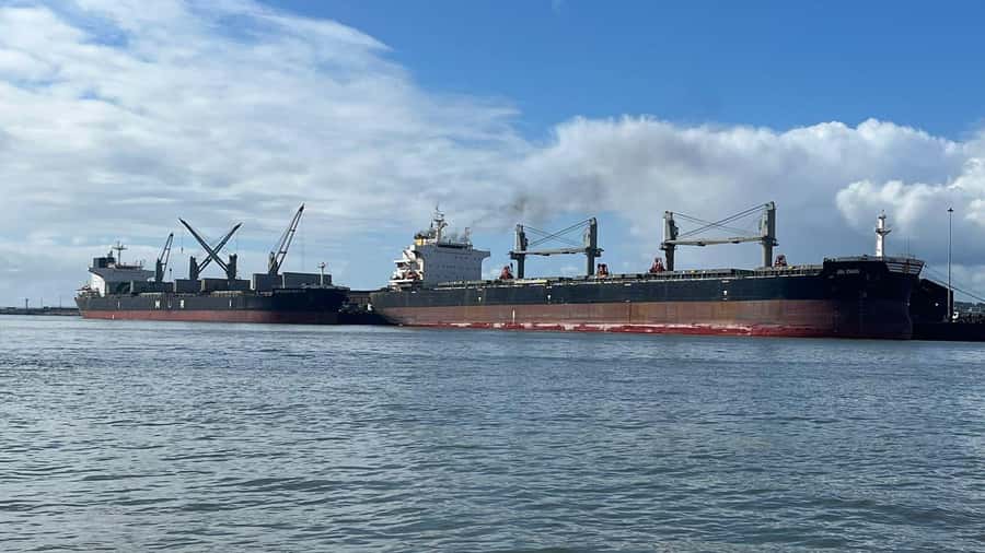 Gqeberha: 30 MINUTE HARBOUR CRUISE - What You See in the Port: Ships, Fishing Vessels, and Cargo Logic