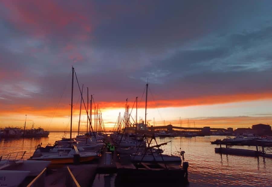 Gqeberha: 30 MINUTE HARBOUR CRUISE - Cargo Handling and Turnaround Times: The Part Most People Usually Miss