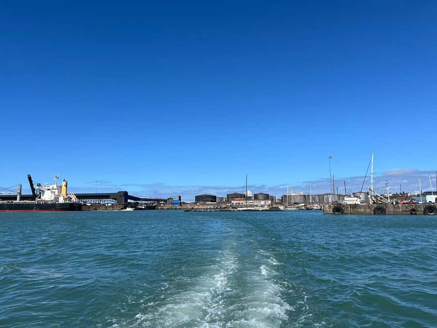 Gqeberha: 30 MINUTE HARBOUR CRUISE - Safety Lessons Onboard and At the Berth