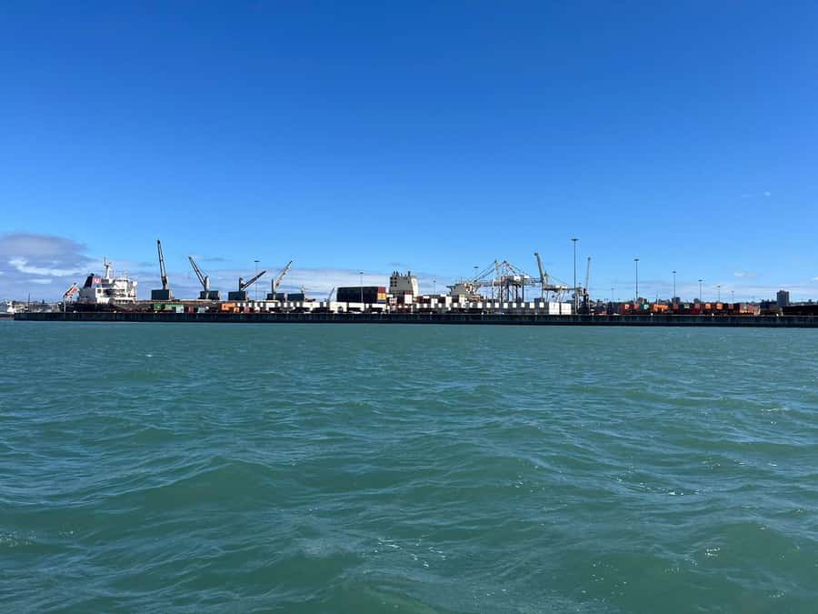 Gqeberha: 30 MINUTE HARBOUR CRUISE - How the Reviews Point to Real Expectations: Kids Like It, Rain Changes Everything
