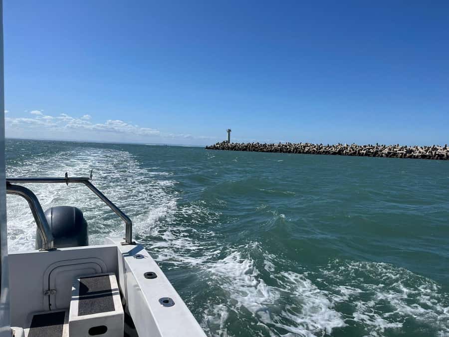 Gqeberha: 30 MINUTE HARBOUR CRUISE - Who This Cruise Fits Best (and Who Should Skip It)