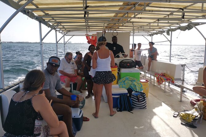 Grand Cayman - Bioluminescent Bay Tour - Key points before you go
