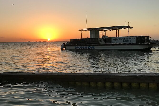 Grand Cayman - Bioluminescent Bay Tour - Bioluminescent Bay after sunset: how to get the brightest glow