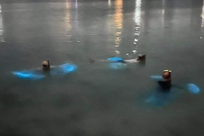 Grand Cayman - Bioluminescent Bay Tour - What the guide talk changes (and names you might hear)