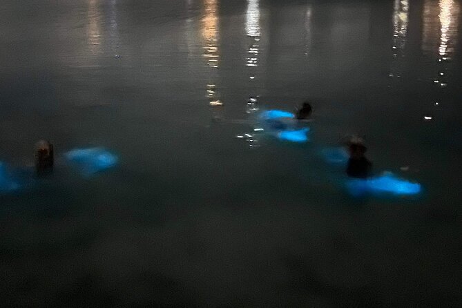 Grand Cayman - Bioluminescent Bay Tour - Safety, comfort, and what to bring to avoid misery