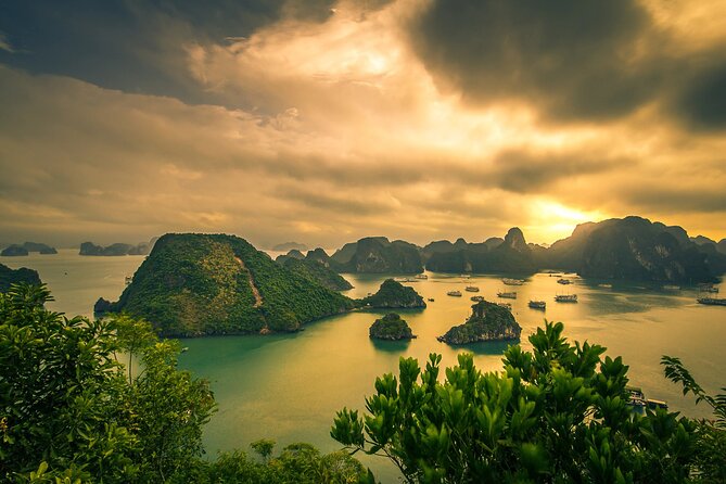 Ha Long Bay Cruise Day Tour-Cave, Kayaking,Ti top island & Lunch - The Bus Ride, the Port, and Your First Hour on the Water