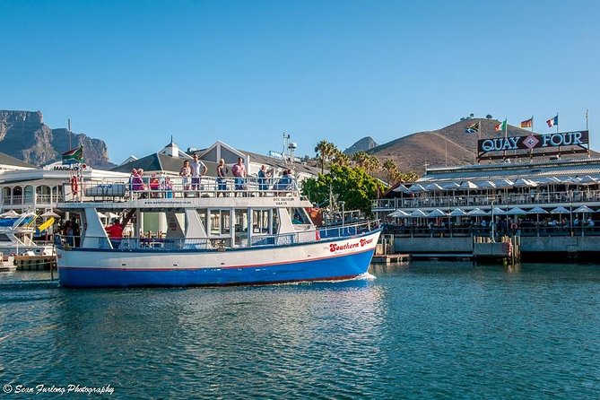 Half Hour Seal and Harbour Cruise from Cape Town - Key things to know before you go