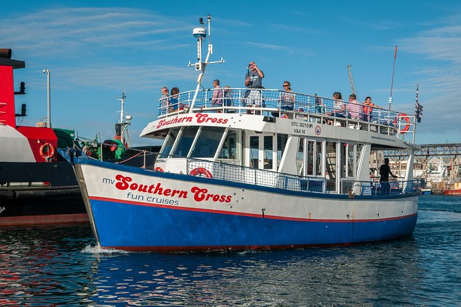 Half Hour Seal and Harbour Cruise from Cape Town - The V&A Waterfront orientation you didn’t know you’d want