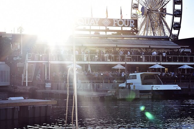 Half Hour Seal and Harbour Cruise from Cape Town - Who should book this (and who might want something longer)